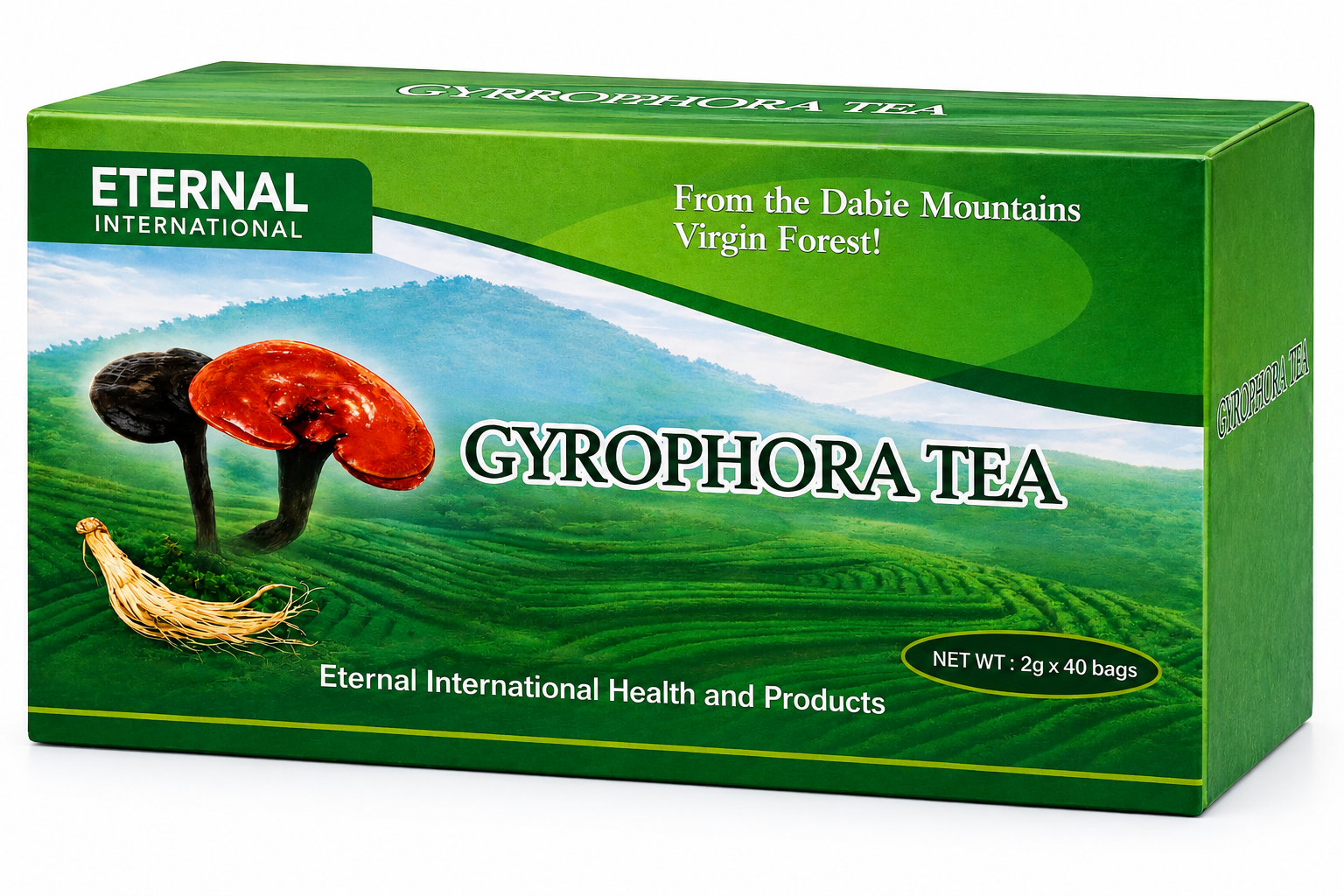 GYROPHORA (GANODERMA) TEA 